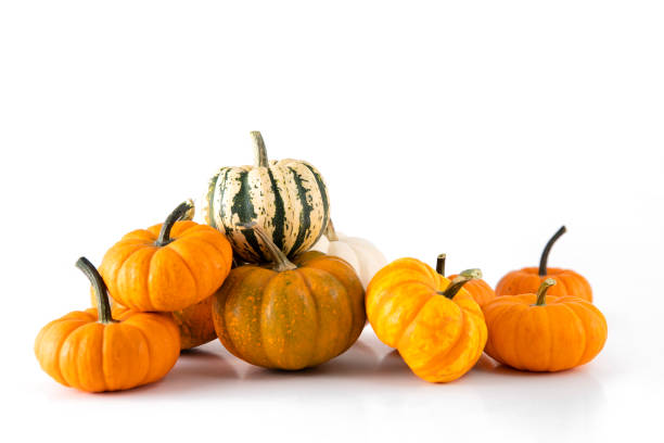 Pumpkin Add-On