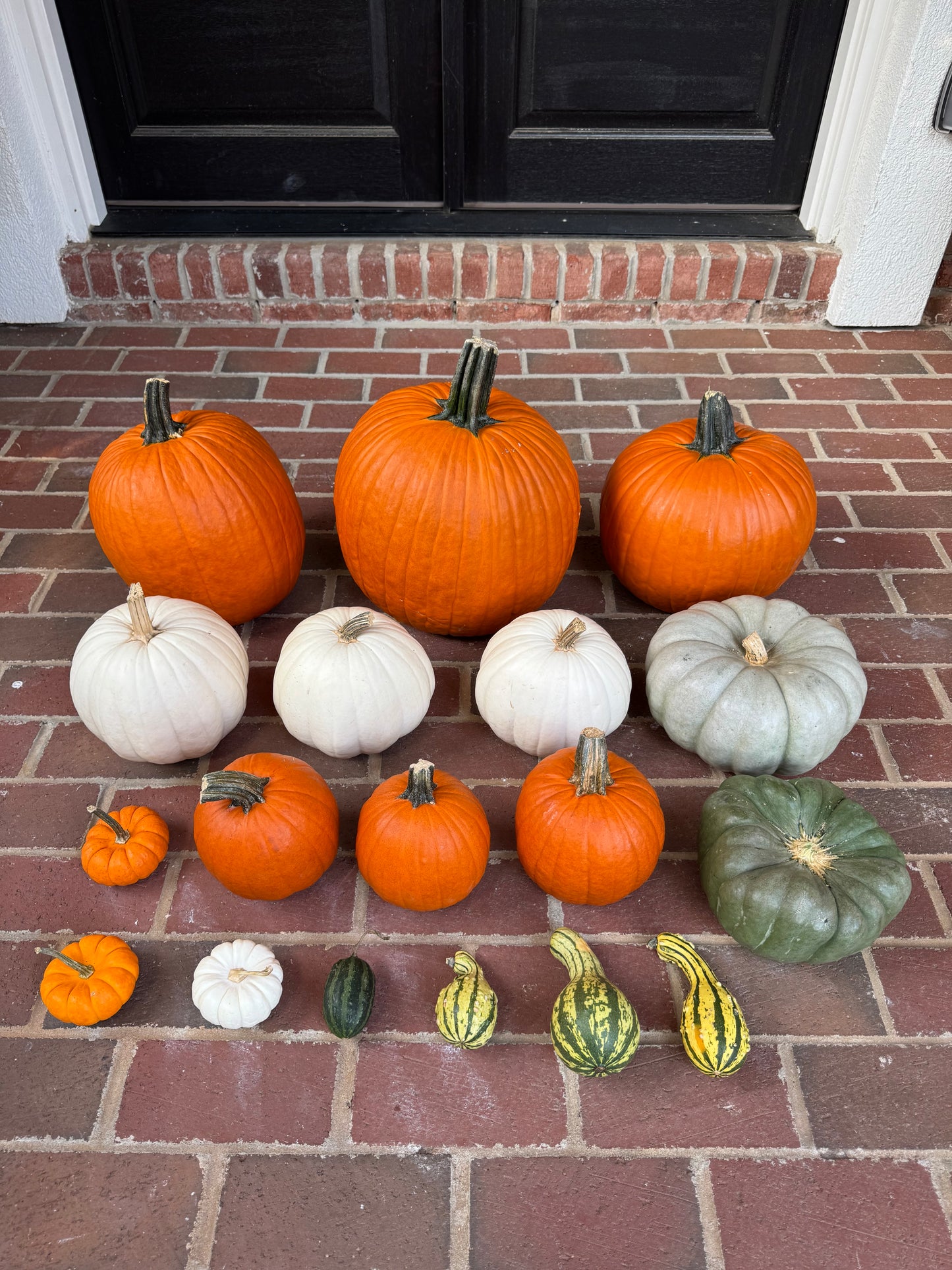 DIY Pumpkin Kit
