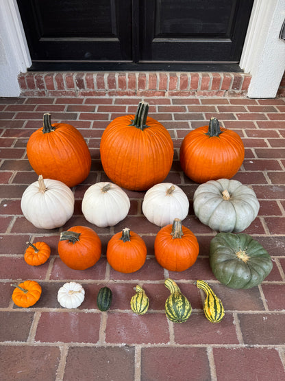 DIY Pumpkin Kit