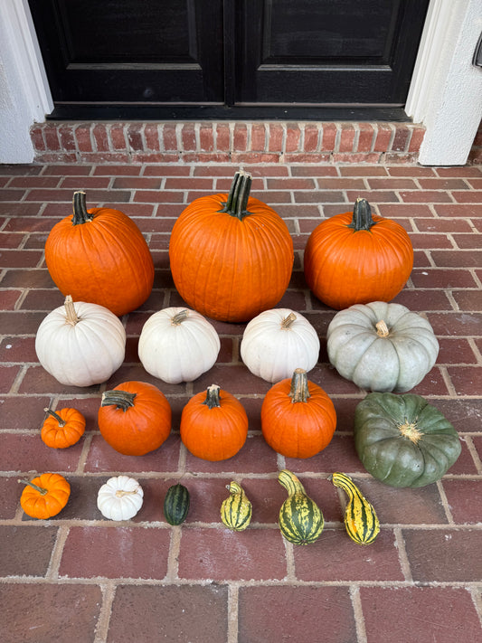 DIY Pumpkin Kit