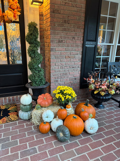 The Signature Package (Our Most Popular)