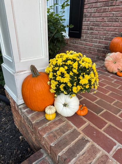 The Signature Package (Our Most Popular)