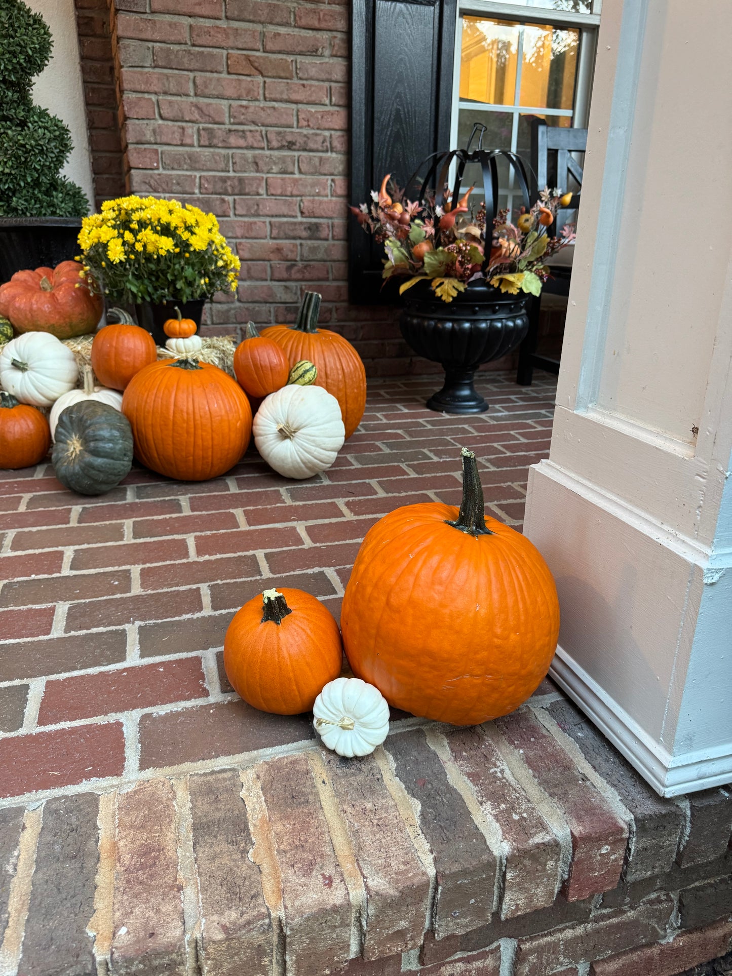 The Signature Package (Our Most Popular)