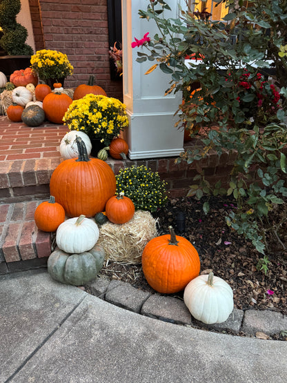 The Showstopper Package