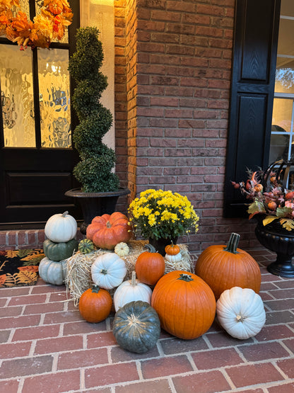 The Showstopper Package