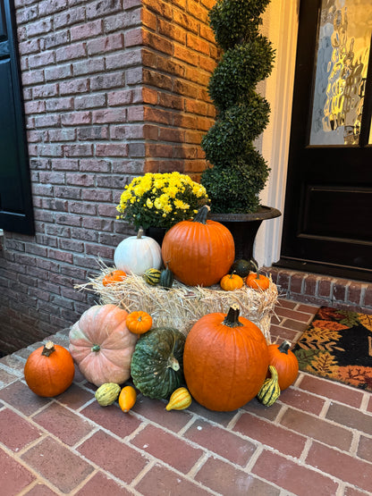 The Showstopper Package