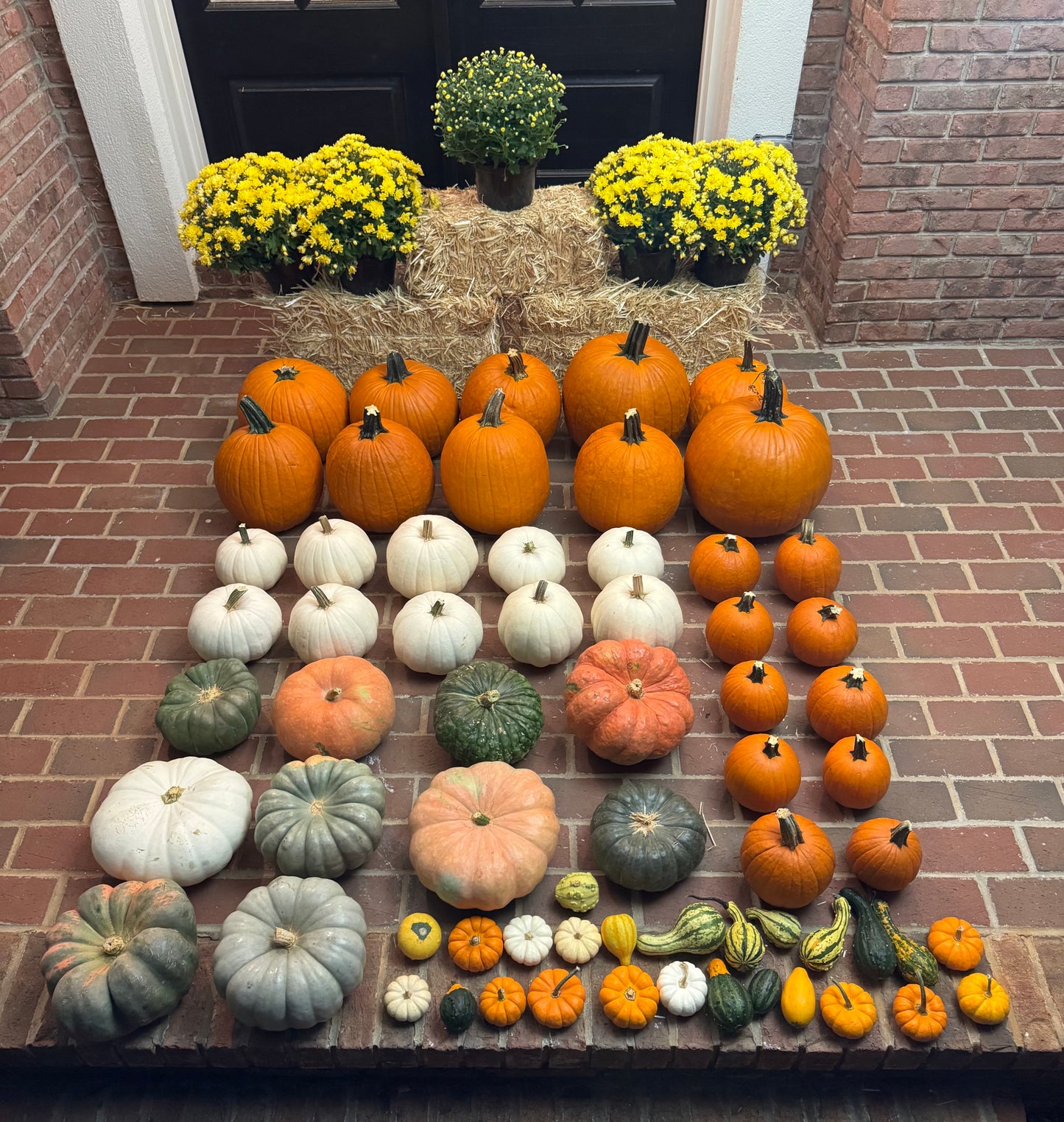 The Showstopper Package