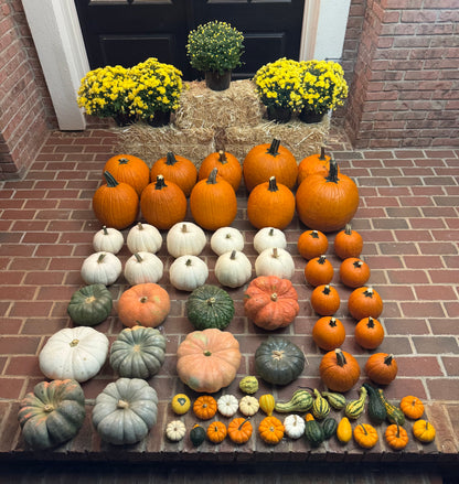 The Showstopper Package