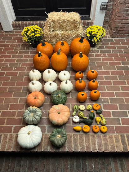 The Signature Package (Our Most Popular)