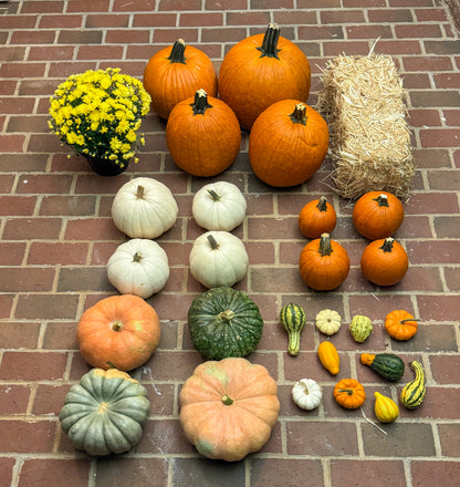 The Essentials Package